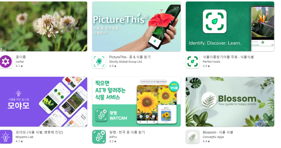 꽃 이름 찾기 어플 앱 추천 Top5 순위